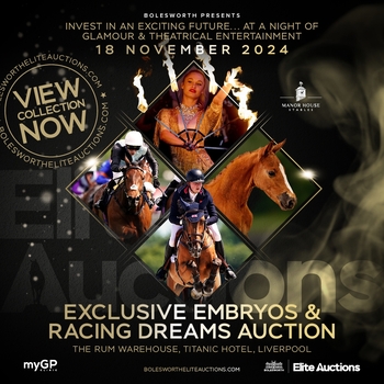 Bolesworth Elite Auctions Presents – Bolesworth Elite Auctions Presents –